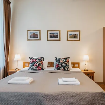 Cathedral Old Town 4* וילנה
