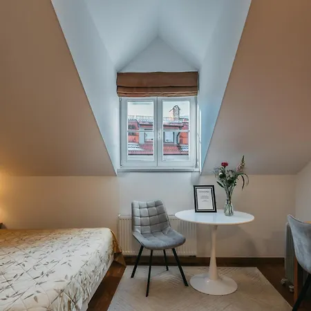 Cathedral Old Town Vilnius