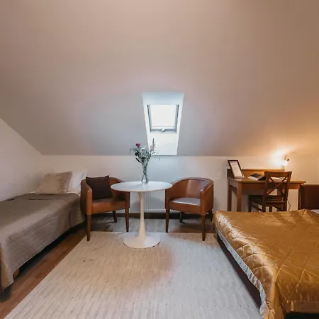 Cathedral Old Town Vilnius