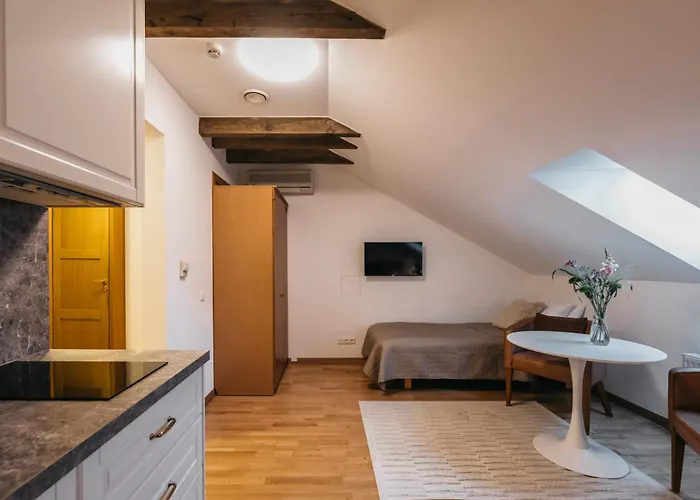 Cathedral Old Town 4* ヴィリニュス