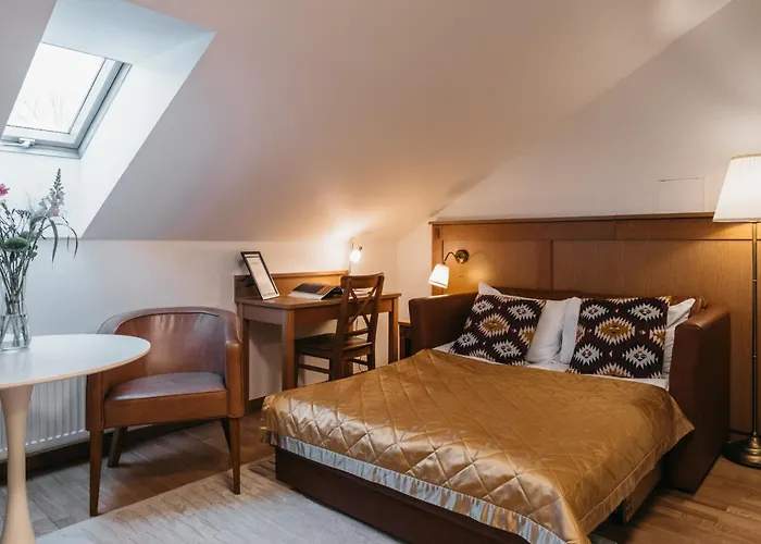 Cathedral Old Town Vilnius