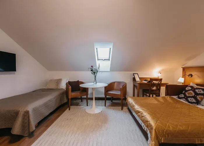 Cathedral Old Town Vilnius